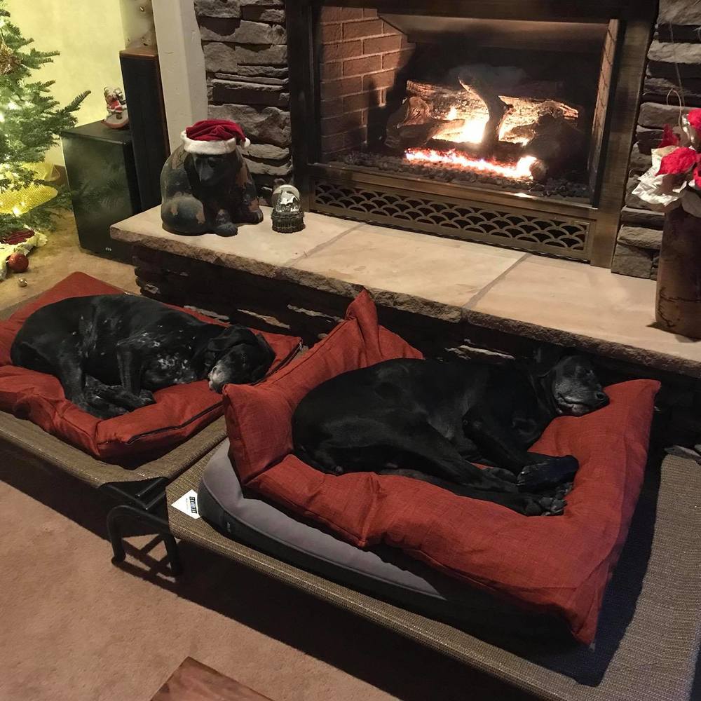 Meet your Posher, Cindi